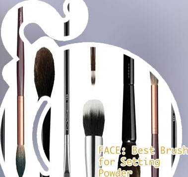 Best makeup brush set for face